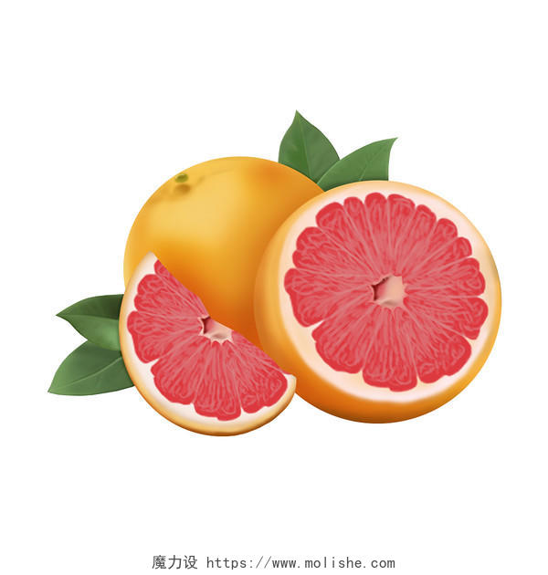 水果红心柚子手绘写实风免扣PNG素材写实水果元素